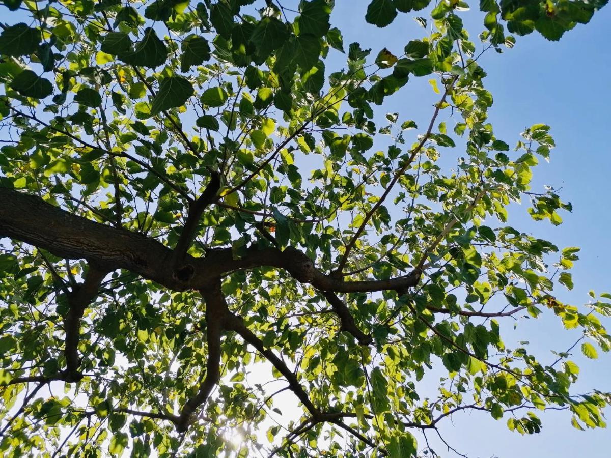 Villetta Castiglione Σαν Βίτο λο Κάπο Εξωτερικό φωτογραφία